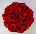 Rose rosse (una rosa)